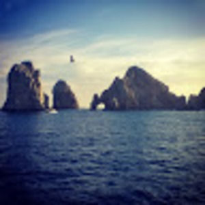 Meet your Posher, Nina